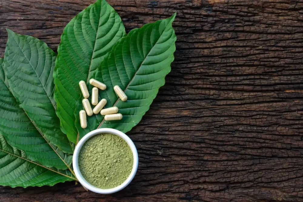 Cannabis leaves, powder and capsules