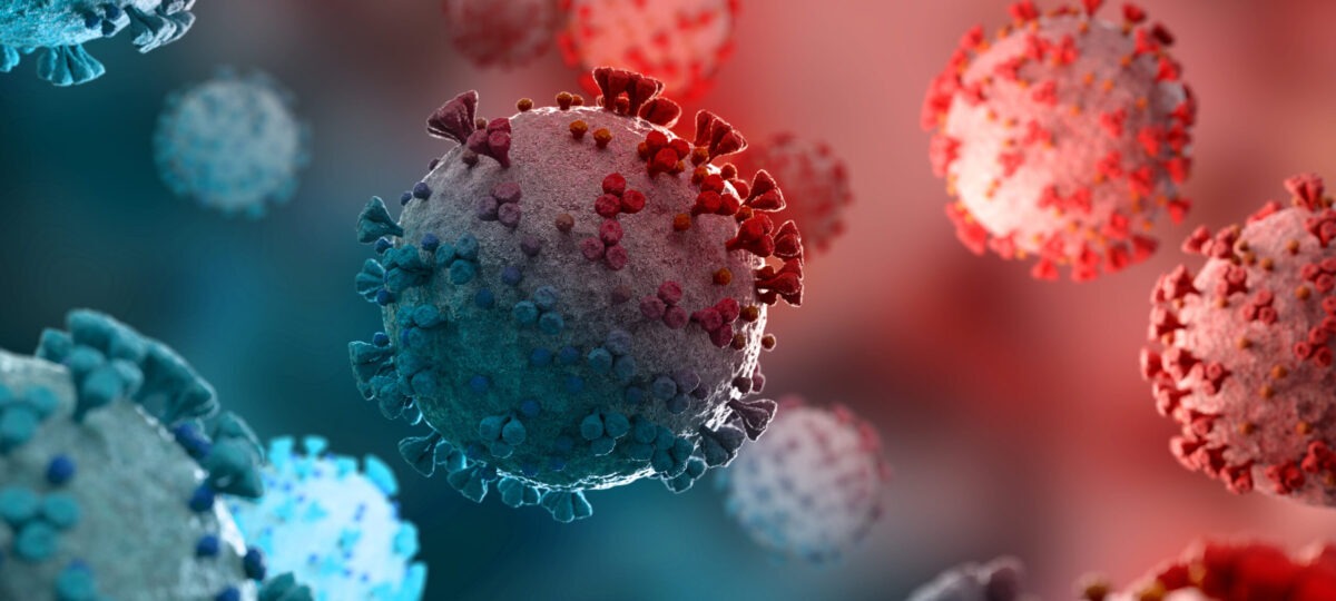 Coronavirus molecule